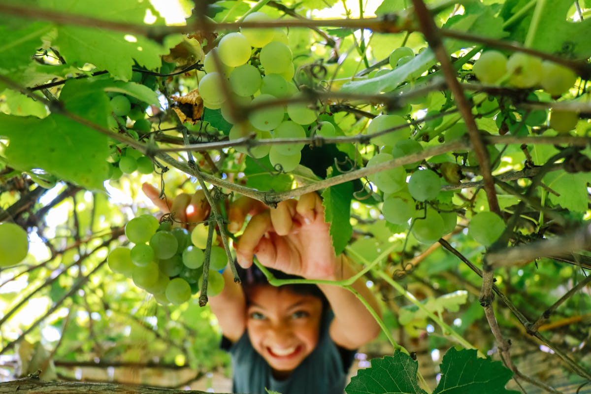 Smiling child playing outside – showing joy after emotional connection and calm response